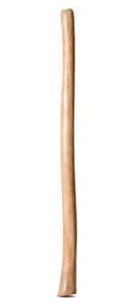 Medium Size Natural Finish Didgeridoo (TW1565)